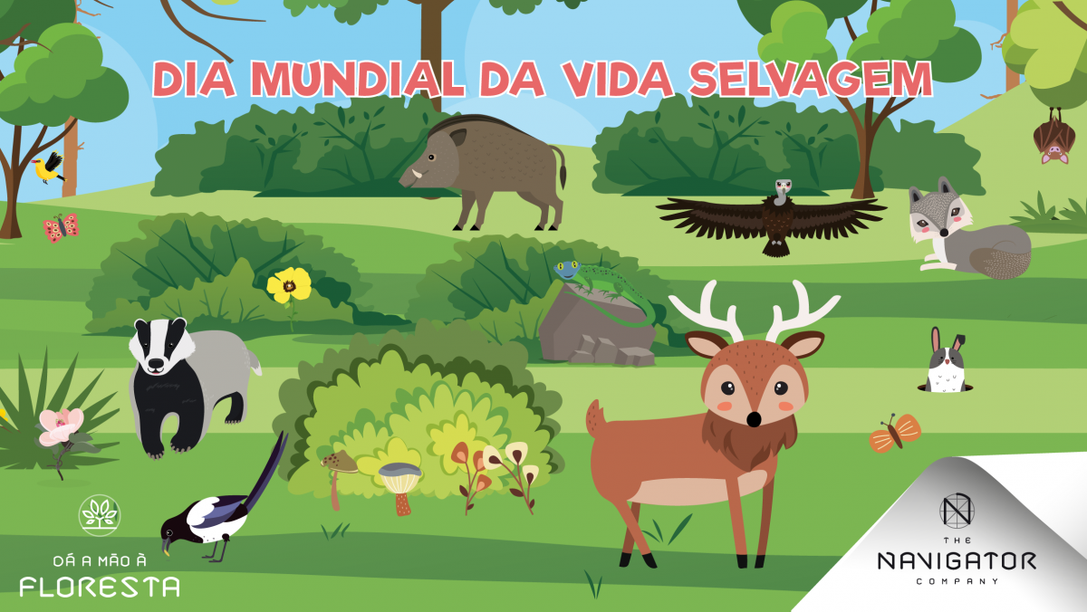 A vida selvagem na floresta