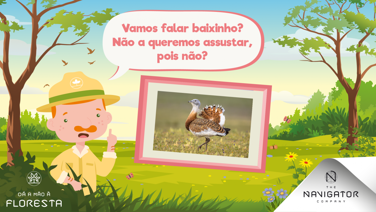 A abetarda