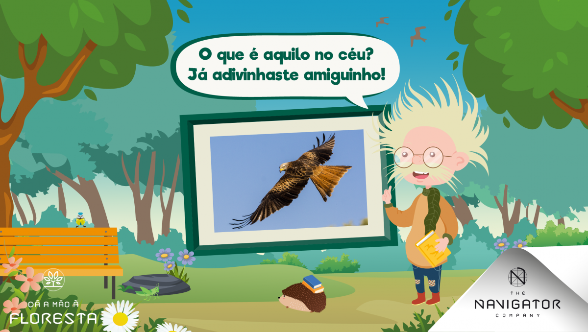 O milhafre-preto