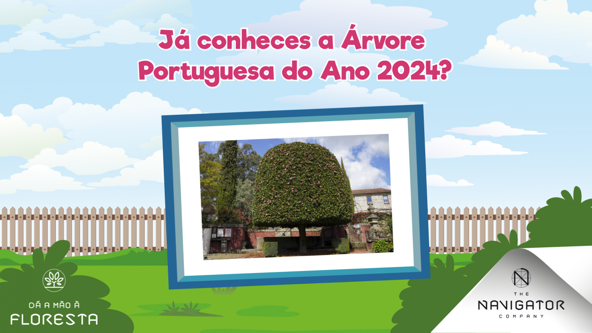 Árvore Portuguesa do Ano 2024