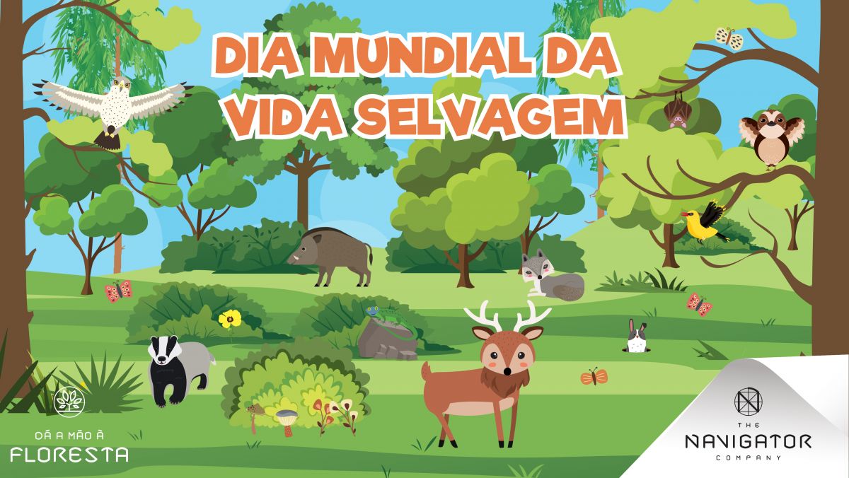 Dia Mundial da Vida Selvagem: celebrar a fauna e flora