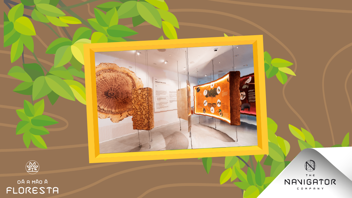 Museus da Floresta