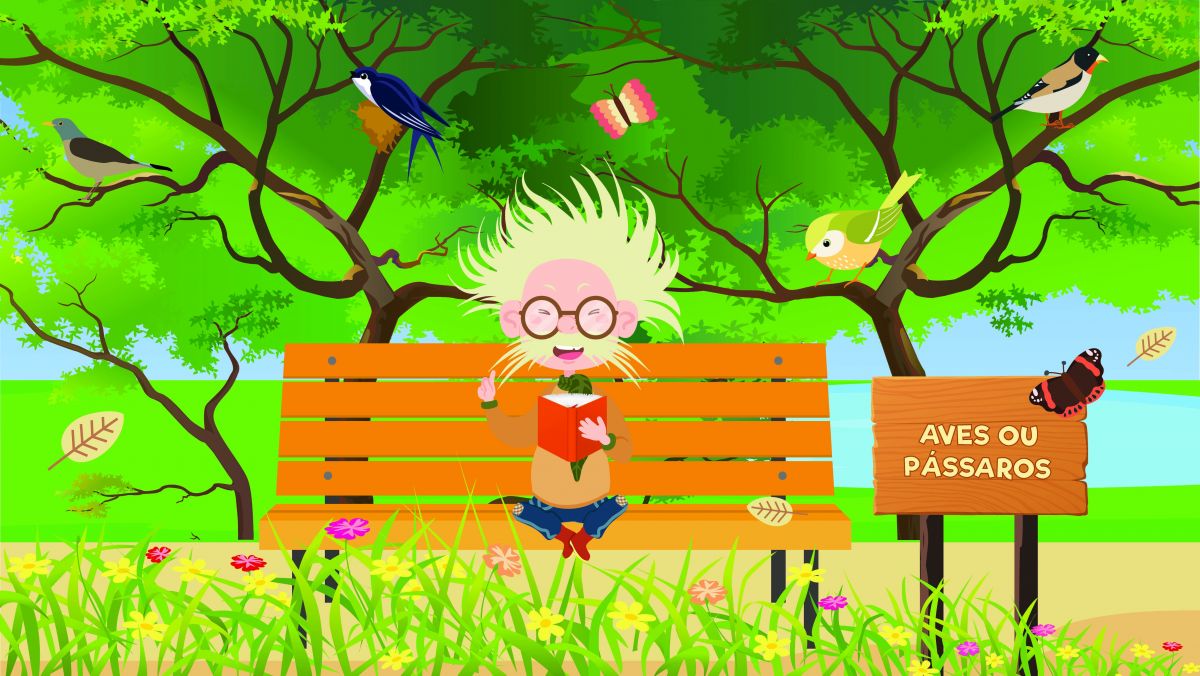 Será que todas as aves são pássaros?