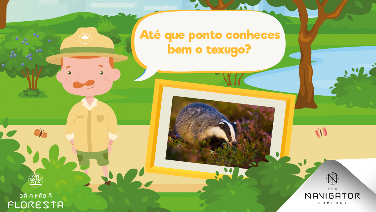 O texugo