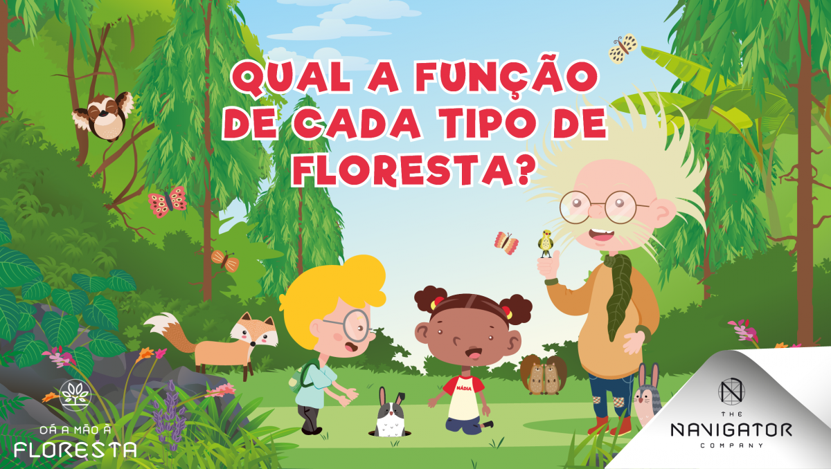 Qual a função de cada tipo de floresta?