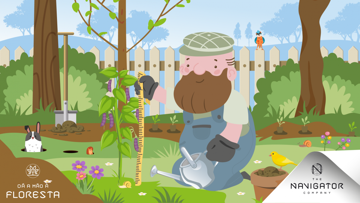 Como nascem e crescem as plantas?