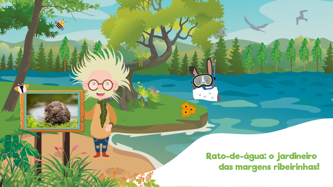 Rato-de-água: o jardineiro das margens ribeirinhas