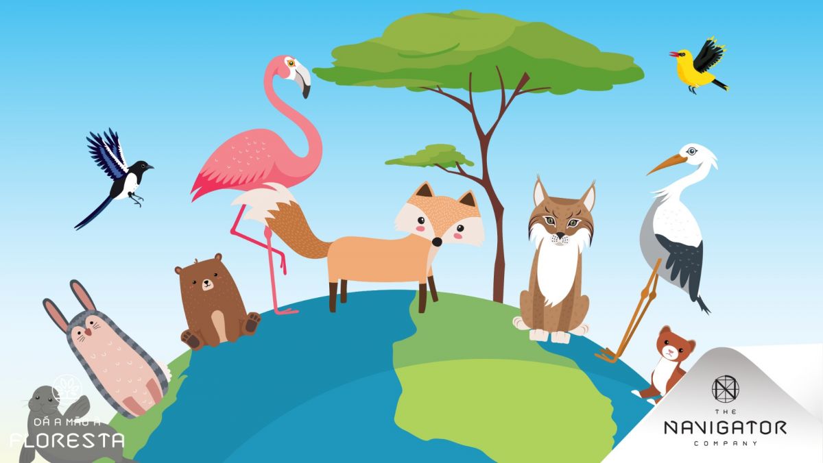 Mapa da Biodiversidade