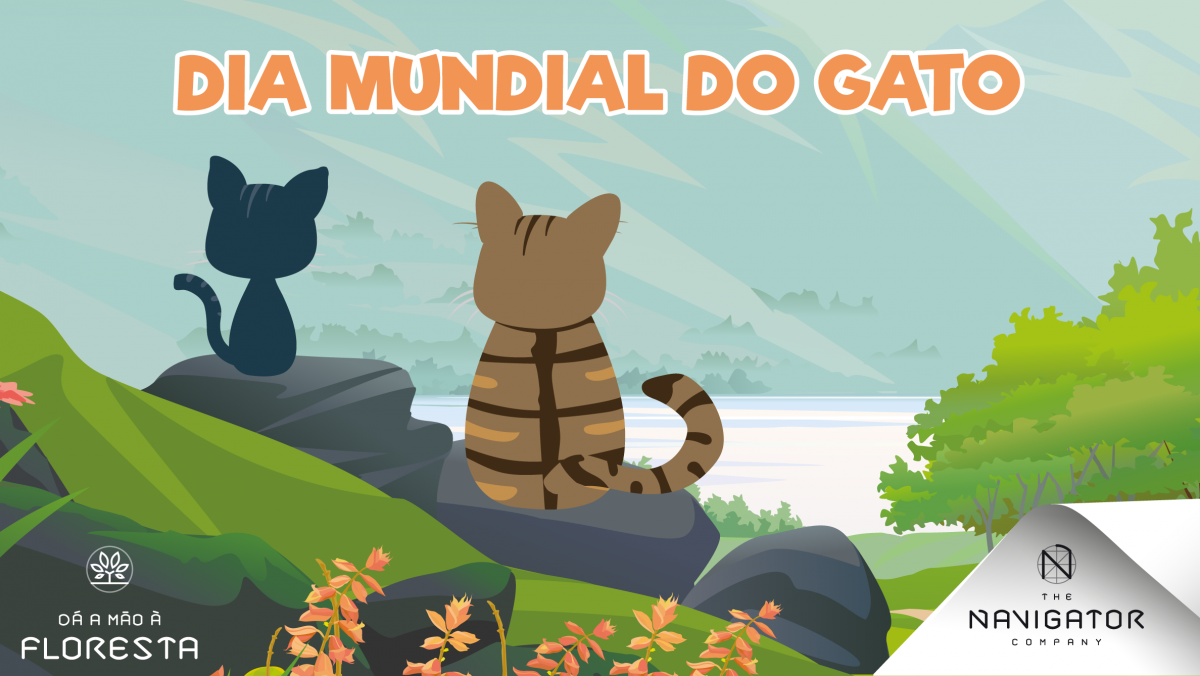 Bravo, gato-bravo!