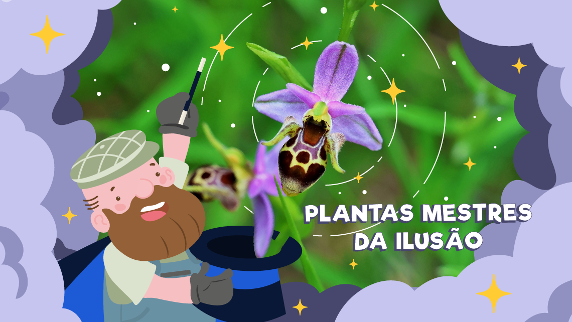 Plantas mestres da ilusão!