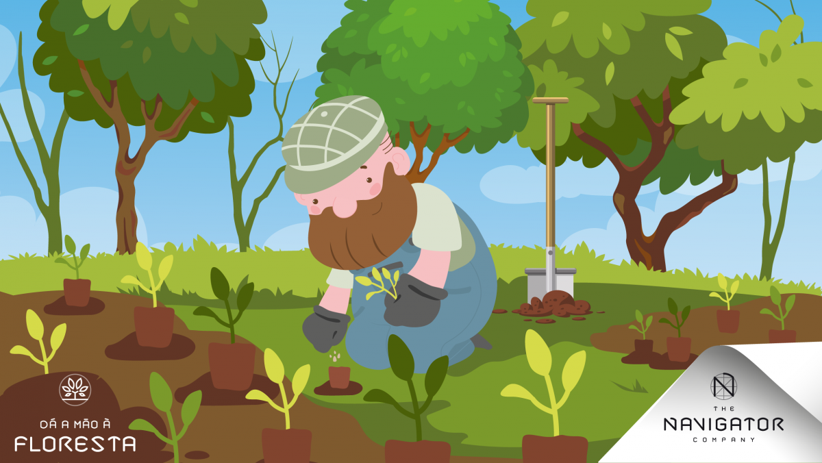 O que são florestas plantadas?