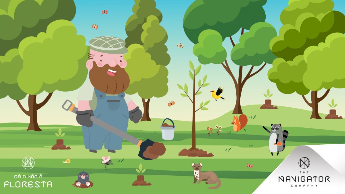 Os benefícios da floresta!