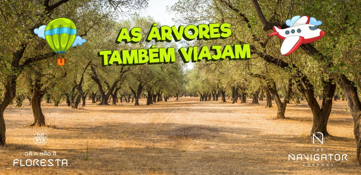 As árvores também viajam