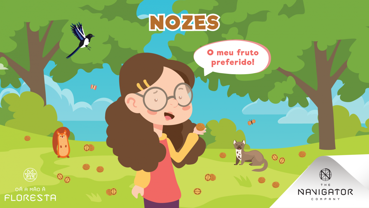 As maravilhosas nozes!
