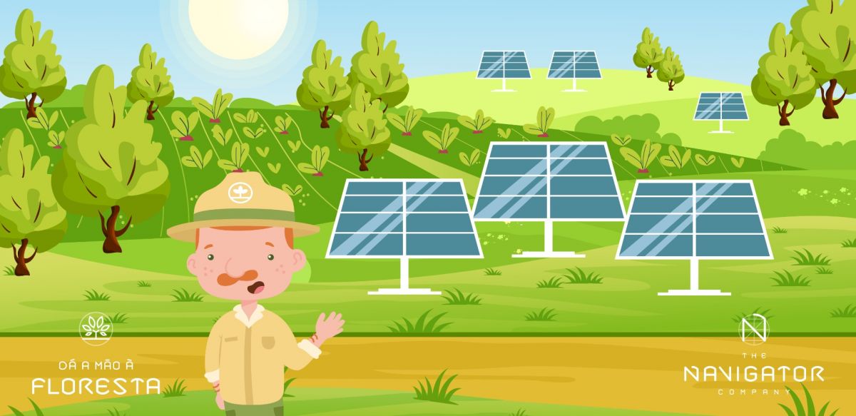 A importância da energia solar no processo de descarbonização