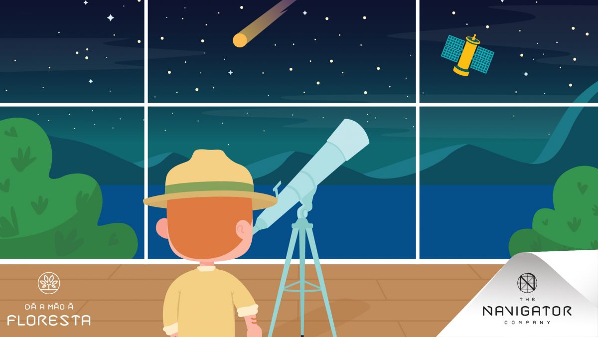 Um satélite que observa as nossas florestas