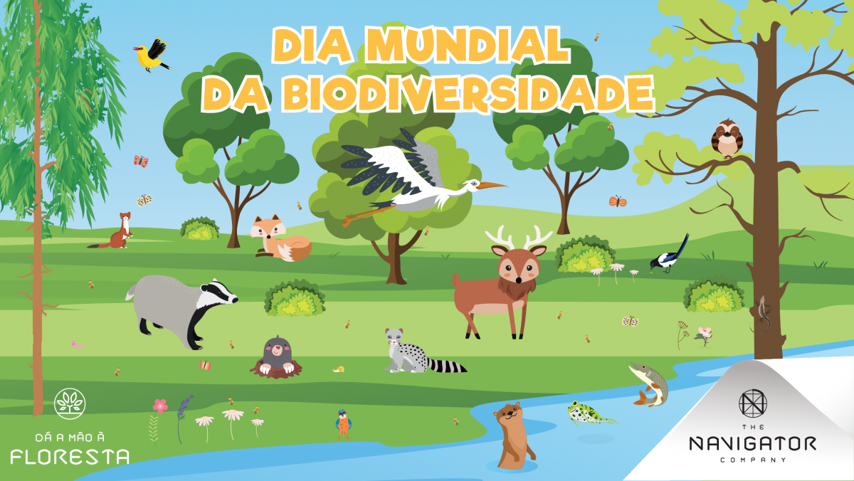 Biodiversidade: todas as formas de vida contam!