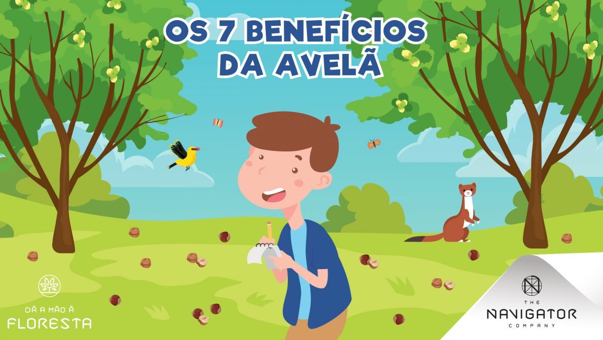 Os benefícios da avelã!