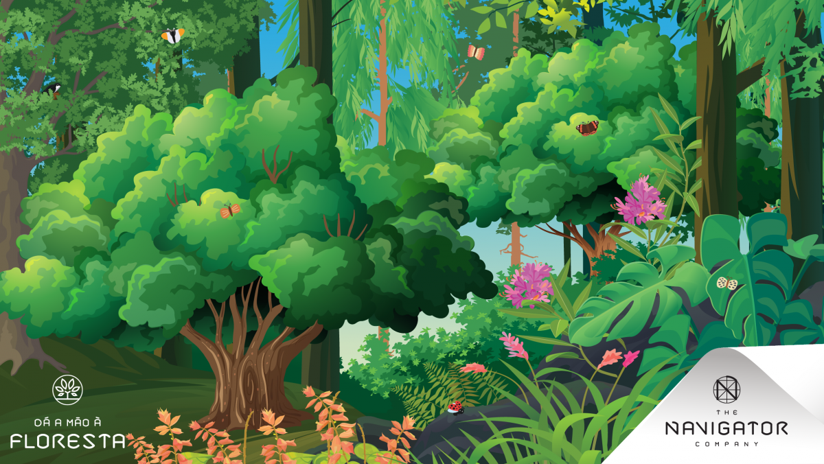 A Floresta Portuguesa e a sua diversidade