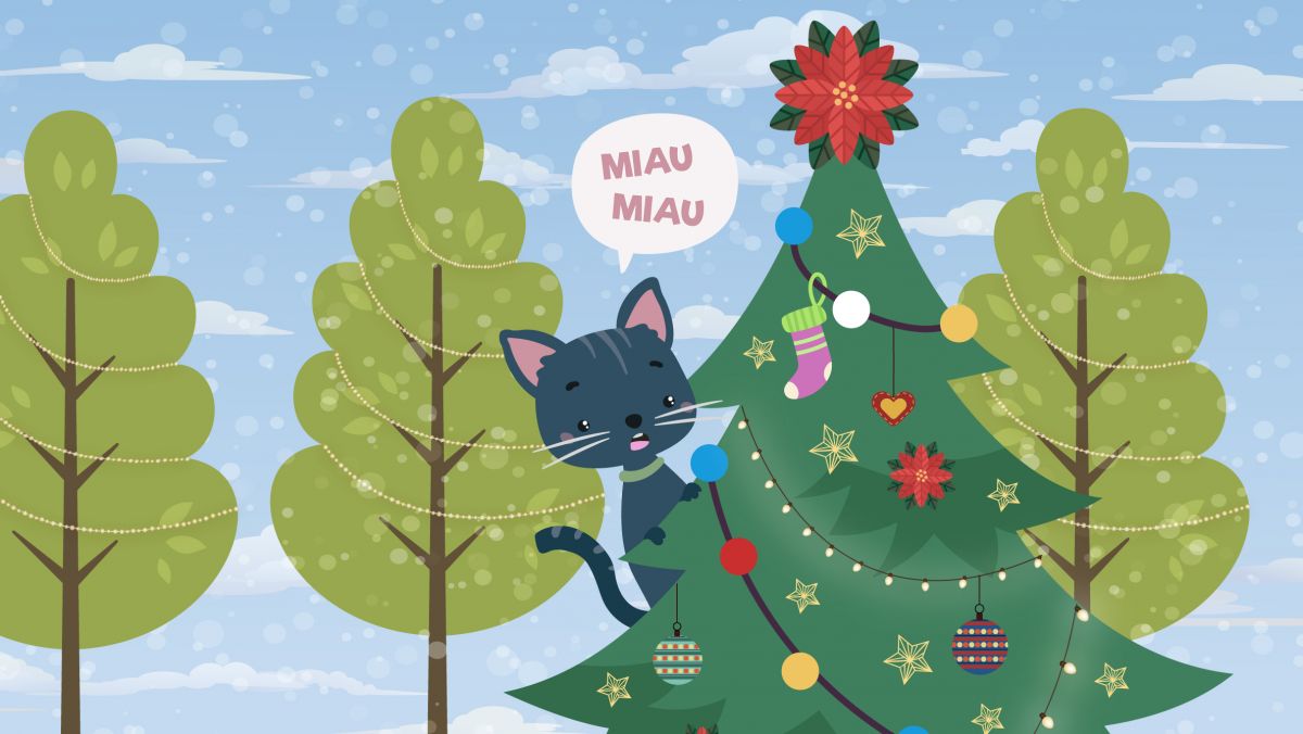 A estrela-de-natal e a gata Renata