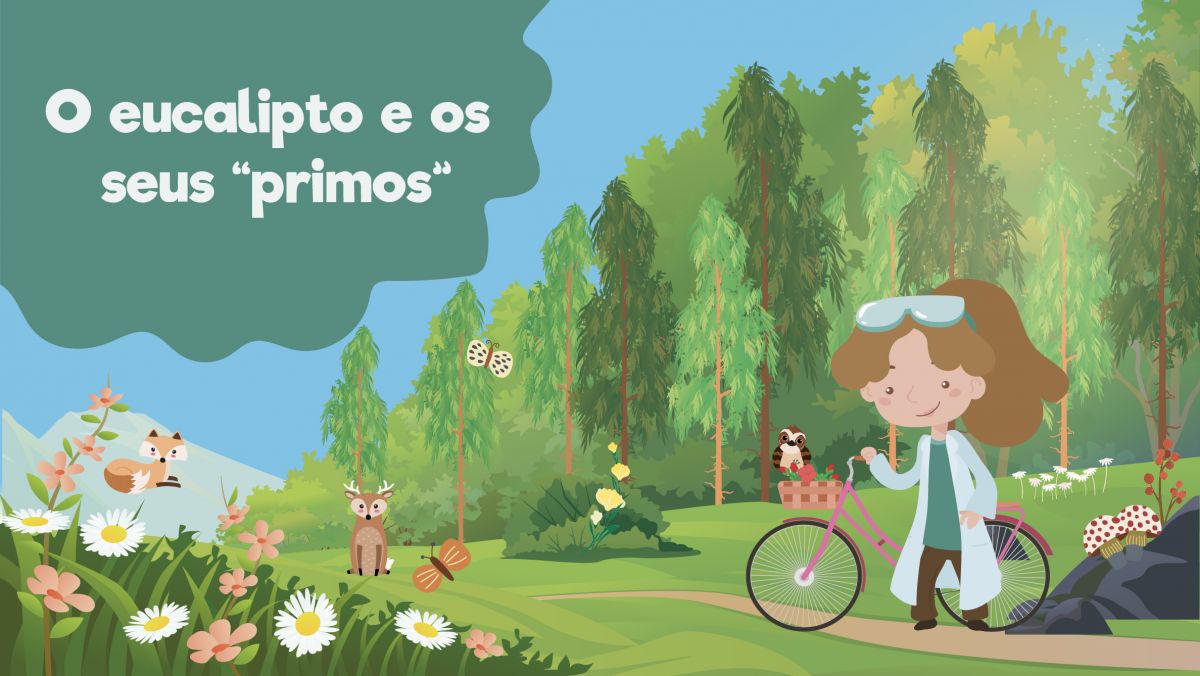 O eucalipto e os seus “primos”