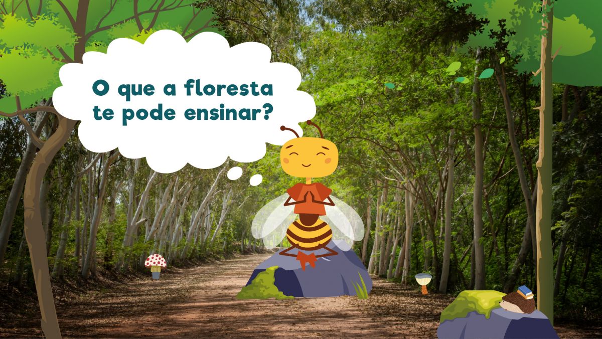 O que a floresta te pode ensinar?