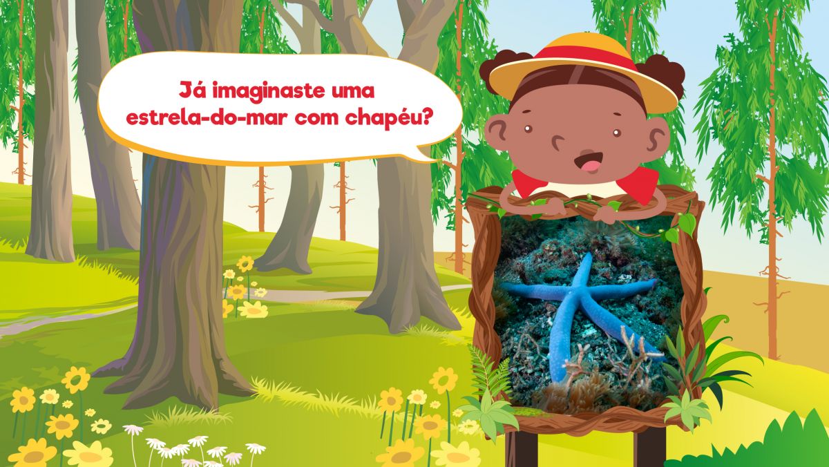 Onde é que as estrelas-do-mar têm a cabeça?