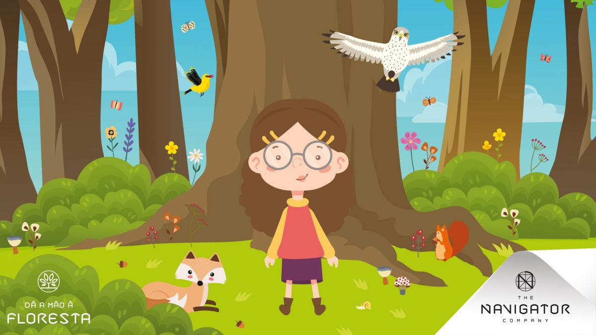 A biodiversidade da nossa floresta