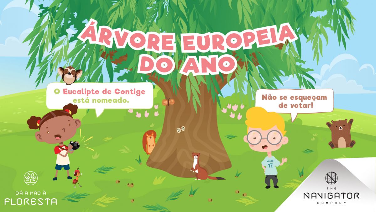 O Eucalipto de Contige pode ser Árvore Europeia do Ano!