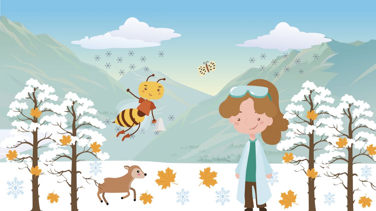 A magia da neve e do gelo