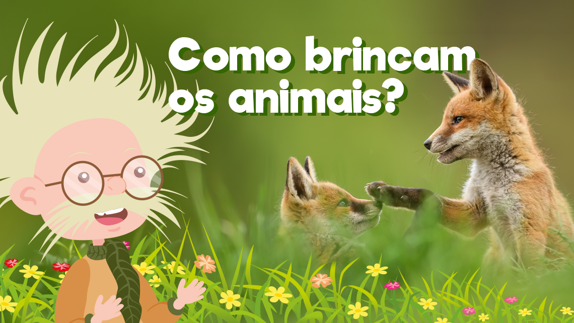 Como brincam os animais?