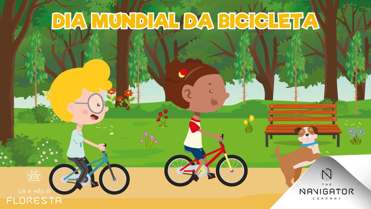 Um dia sobre rodas!