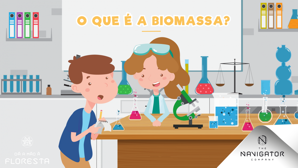 A biomassa florestal como fonte de energia