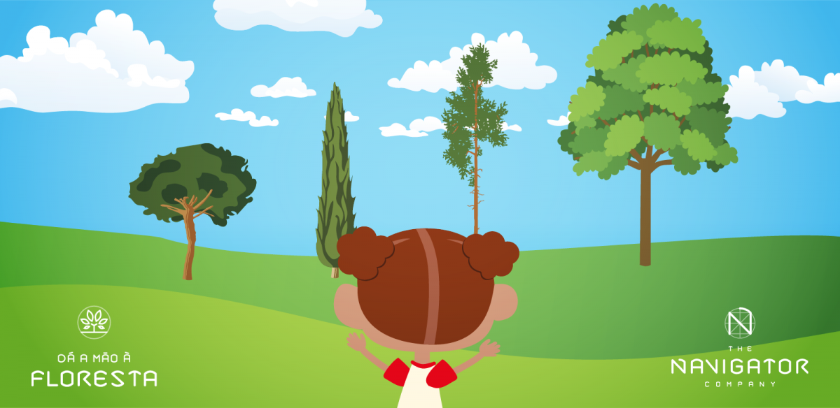 Gigantes da Floresta