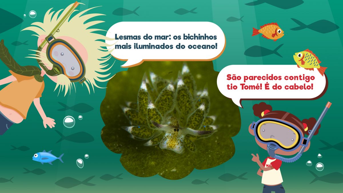 Super Lesmas do Mar   