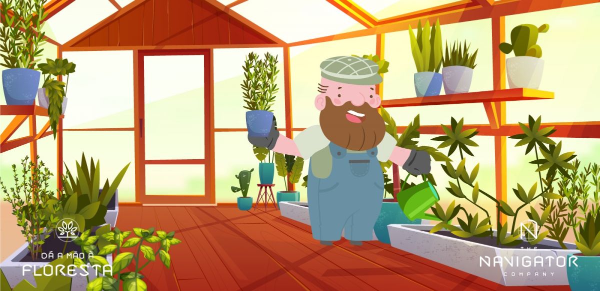4 dicas para cuidares das plantas