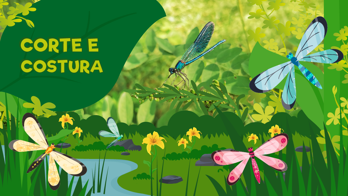 Libelinhas Magnéticas 