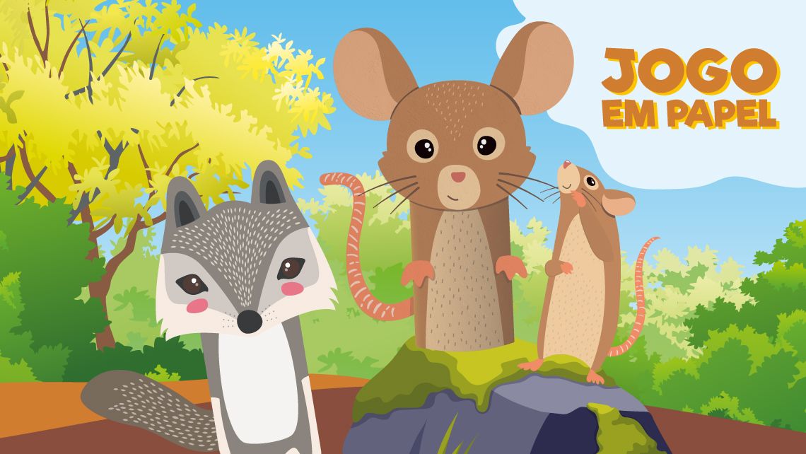 Animais da Floresta  